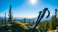 trekking poles top recommendations