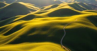 gradually ascend steep terrain