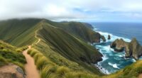 hilly windy scenic marathon