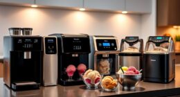 luxury home ice cream makers