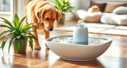 top automatic pet water fountains