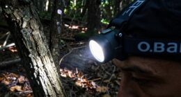 headlamp brightness requirements