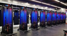 top 15 cardio climber machines