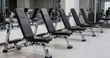 top heavy duty back extensions