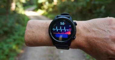 top running watches 2026