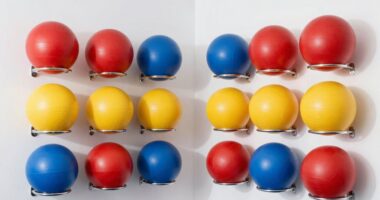 top wall ball sets 2026