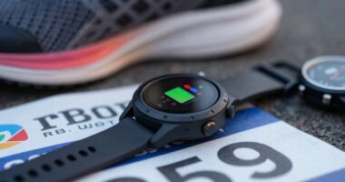 watch battery life prediction