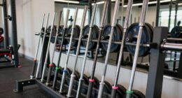 top 15kg women s olympic barbells