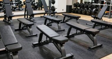 top adjustable heavy duty benches