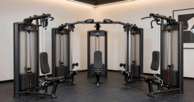 top belt squat machines