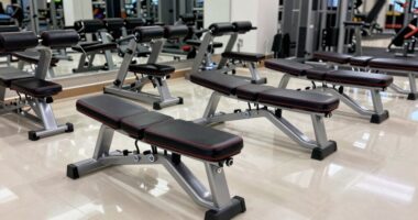 top incline decline benches