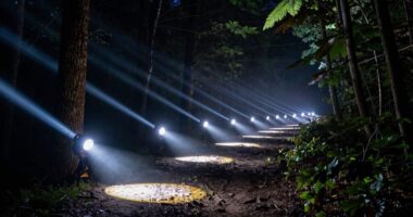 beam shapes for running