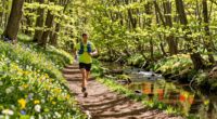 essential hydration test guide