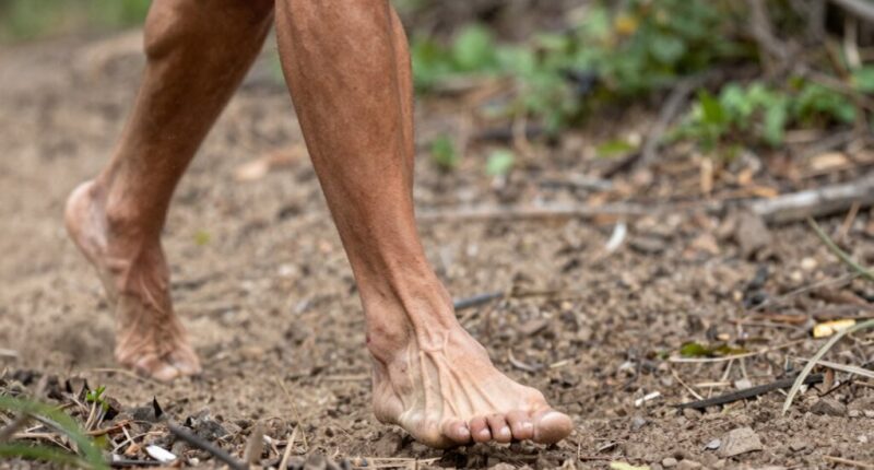 importance of ankle strength