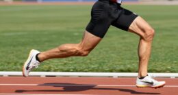 performance metrics comparison