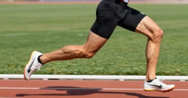 performance metrics comparison
