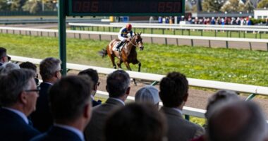race estimates influence perception