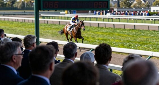 race estimates influence perception