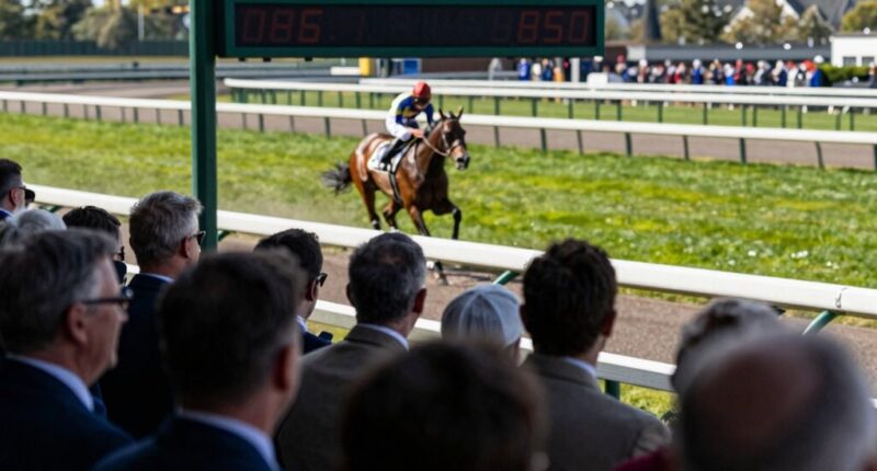 race estimates influence perception