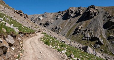terrain influences running speed