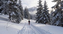 winter trail running challenges