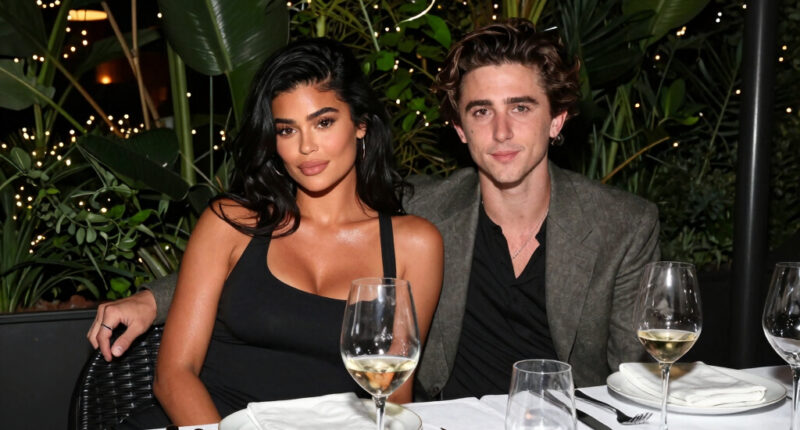 Kylie Jenner Shares Inside Look at Her Date Night With Timothée Chalamet in New York