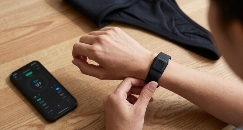 10 Best Portable Fitness Trackers in 2026