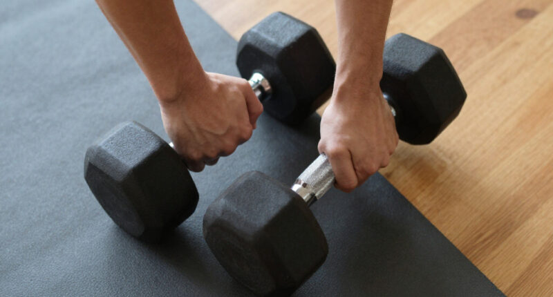14 Best Fitness Weights in 2026
