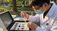 Autism Mutations Drive Neurodevelopmental Pathology