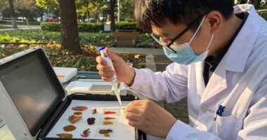 Autism Mutations Drive Neurodevelopmental Pathology