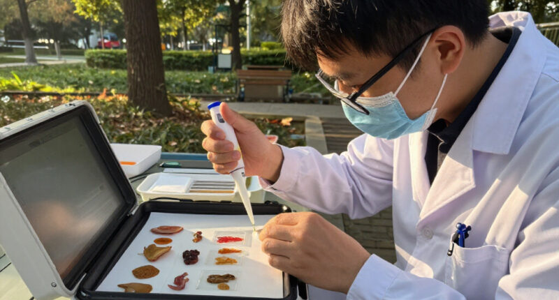 Autism Mutations Drive Neurodevelopmental Pathology