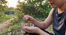 Kratom