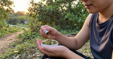Kratom